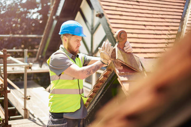 Best Metal Roofing Contractor  in Beardstown, IL